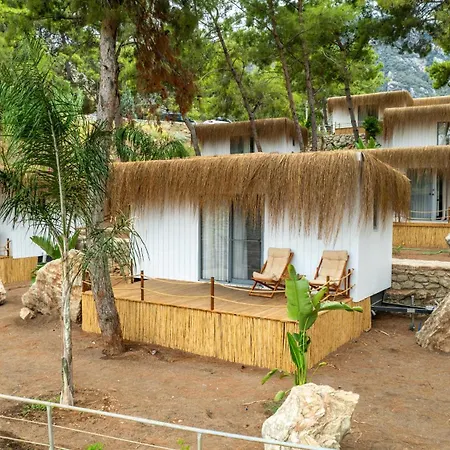 Z-villas Hotel
